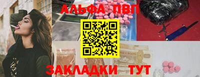индика Асино